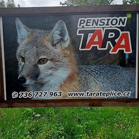 Pension Tara Teplice nad Metuji Exterior photo