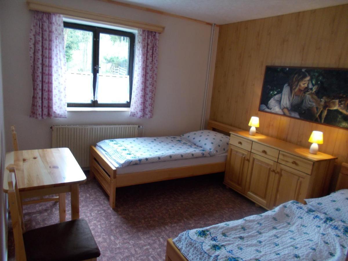 Pension Tara Teplice nad Metuji Exterior photo