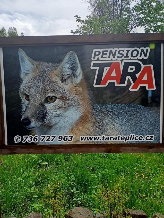 Pension Tara Teplice nad Metuji Exterior photo
