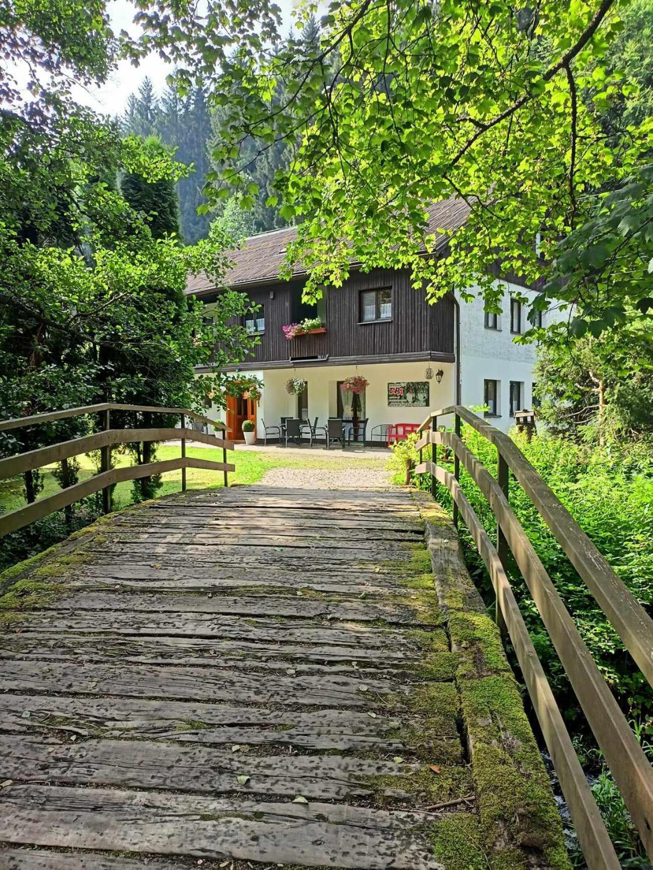 Pension Tara Teplice nad Metuji Exterior photo